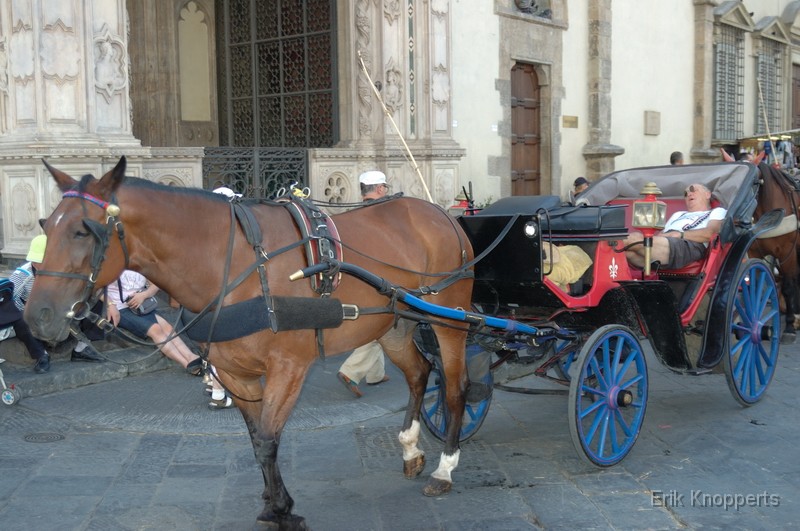 Florence 19.jpg